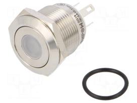 Switch: vandal resistant | Pos: 2 | SPST-NO | 0.5A/220VAC | 2A/36VDC