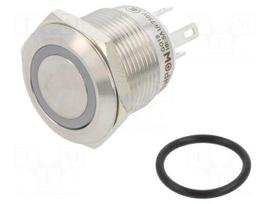 Switch: vandal resistant | Pos: 2 | SPST-NO | 0.5A/220VAC | 2A/36VDC