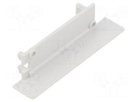 Cap for LED profiles | grey | 2pcs | ABS | FLAT8