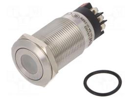 Switch: vandal resistant | Pos: 2 | SPDT | 3A/220VAC | 5A/24VDC | IP65
