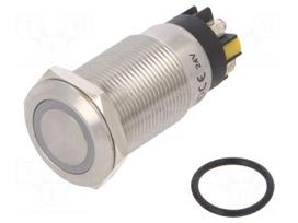 Switch: vandal resistant | Pos: 2 | SPDT | 3A/220VAC | 5A/24VDC | IP65