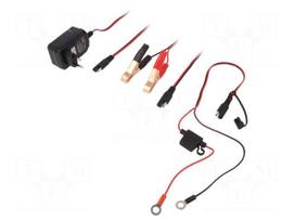 Charger: for rechargeable batteries | GEL,acid-lead | 3÷18Ah | 12V