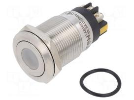 Switch: vandal resistant | Pos: 2 | SPDT | 3A/220VAC | 5A/24VDC | IP65