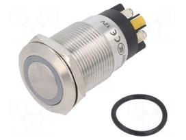 Switch: vandal resistant | Pos: 2 | SPDT | 3A/220VAC | 5A/24VDC | IP65
