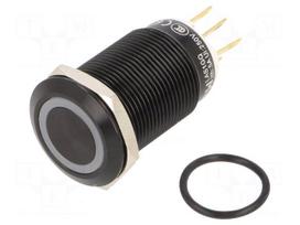 Switch: vandal resistant | Pos: 2 | SPDT | 3A/220VAC | 5A/24VDC | IP65