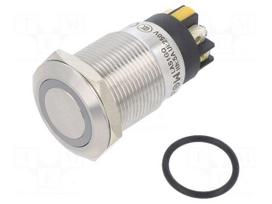 Switch: vandal resistant | Pos: 2 | SPDT | 3A/220VAC | 5A/24VDC | IP65