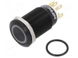 Switch: vandal resistant | Pos: 2 | SPDT | 3A/220VAC | 5A/24VDC | IP65