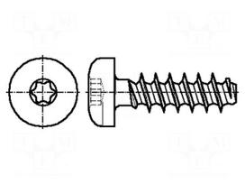 Screw | for plastic | 2.5x5 | Head: cheese head | Torx® PLUS | 8IP | zinc