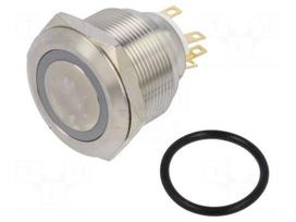 Switch: vandal resistant | Pos: 2 | SPDT | 3A/220VAC | 5A/24VDC | IP65