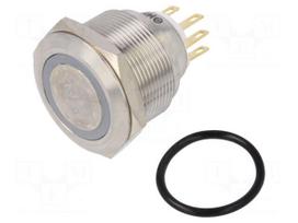 Switch: vandal resistant | Pos: 2 | SPDT | 3A/220VAC | 5A/24VDC | IP65