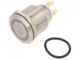 Switch: vandal resistant | Pos: 2 | SPDT | 3A/220VAC | 5A/24VDC | IP65