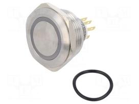 Switch: vandal resistant | Pos: 2 | SPDT | 3A/220VAC | 5A/24VDC | IP65