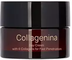 Collagenina Dieninis kremas su 6 kolageno tipais – 3 lygio dieninis kremas 50 ml