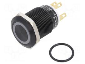 Switch: vandal resistant | Pos: 2 | SPDT | 3A/220VAC | 5A/24VDC | IP65