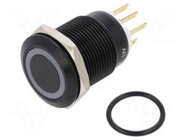 Switch: vandal resistant | Pos: 2 | SPDT | 3A/220VAC | 5A/24VDC | IP65
