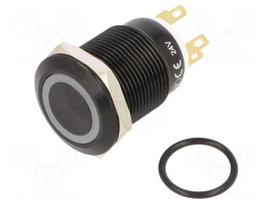 Switch: vandal resistant | Pos: 2 | SPDT | 3A/220VAC | 5A/24VDC | IP65