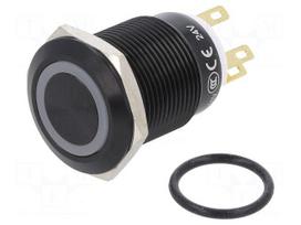 Switch: vandal resistant | Pos: 2 | SPDT | 3A/220VAC | 5A/24VDC | IP65