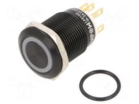 Switch: vandal resistant | Pos: 2 | SPDT | 3A/220VAC | 5A/24VDC | IP65