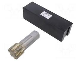 Tap | PG29 | L: 100mm | Holder: machine | 22mm | to the through holes