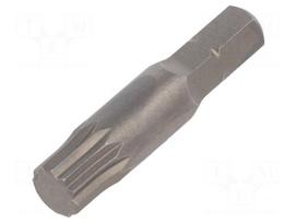 Screwdriver bit | spline (12-angles) | XZN M8 | 1/4" | STANDARD