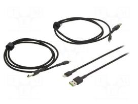 Cable | USB 2.0 | Apple Lightning plug,USB A plug | black | 480Mbps