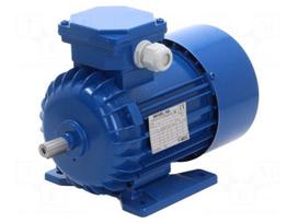 Motor: AC | 3-phase | 0.37kW | 230/400VAC | 1400rpm | IP54 | -30÷60°C