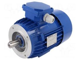 Motor: AC | 3-phase | 0.75kW | 230/400VAC | 2890rpm | IP54 | -30÷60°C
