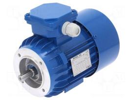 Motor: AC | 3-phase | 0.55kW | 230/400VAC | 2820rpm | IP54 | -30÷60°C