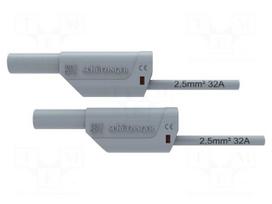 Test lead | 32A | banana plug 4mm,both sides | Urated: 1kV | Len: 2m