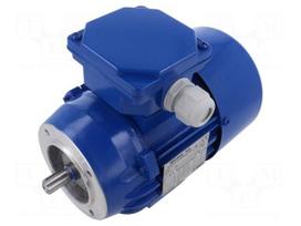 Motor: AC | 3-phase | 0.37kW | 230/400VAC | 2820rpm | IP54 | -30÷60°C