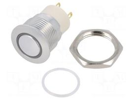 Switch: vandal resistant | Pos: 2 | SPST-NO | 2A/36VDC | IP67 | OFF-ON