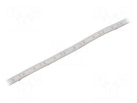 LED tape | white cold | Case (mm): 2835 | LED/m: 120 | 10mm | white PCB