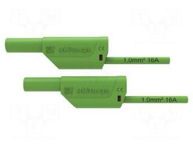Test lead | 16A | banana plug 4mm,both sides | Urated: 1kV | Len: 2m