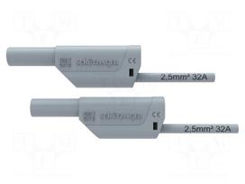 Test lead | 32A | banana plug 4mm,both sides | Urated: 1kV | Len: 2m