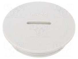 Stopper | PG29 | IP54 | polyamide | grey | V-N-FS | Thread: PG | 8mm
