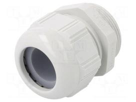 Cable gland | PG29 | IP68 | polyamide | light grey | SKINTOP®
