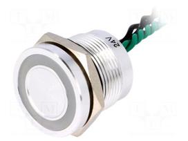 Switch: piezoelectric | Pos: 2 | SPST-NO | 0.2A/24VAC | 0.2A/24VDC