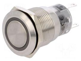 Switch: vandal resistant | Pos: 2 | SPDT | 0.5A/220VAC | 1A/24VDC | IP67