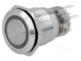 Switch: vandal resistant | Pos: 2 | SPDT | 0.5A/220VAC | 1A/24VDC | IP67