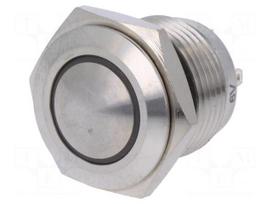 Switch: vandal resistant | Pos: 2 | SPST-NO | 2A/36VDC | IP65 | OFF-(ON)