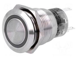 Switch: vandal resistant | Pos: 2 | SPDT | 0.5A/220VAC | 1A/24VDC | IP67