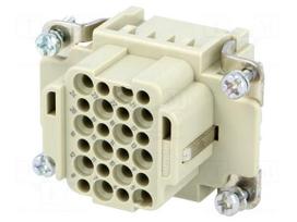 Connector: HDC | contact insert | female | 10A | 250V | Han® DD | PIN: 24