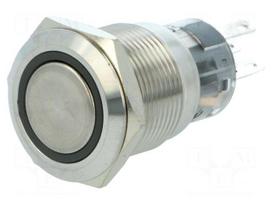 Switch: vandal resistant | Pos: 2 | SPDT | 0.5A/220VAC | 1A/24VDC | IP67