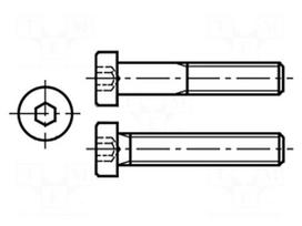 Screw | M3x30 | 0.5 | Head: cheese head | hex key | HEX 2mm | steel | zinc