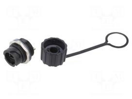 Connector: RJ45 | socket | PIN: 8 | Cat 5e | shielded | 8p8c | IP67