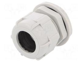 Cable gland | PG29 | IP68 | polyamide | light grey