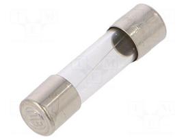 Fuse: fuse | cylindrical,glass | 500mA | 250VAC | time-lag | brass