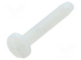 Screw | UNC 6-32 | UNC6-32x19.05 | Head: cheese head | slotted