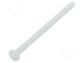 Screw | UNC 6-32 | UNC6-32x50.8 | Head: cheese head | slotted