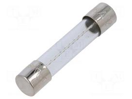 Fuse: fuse | glass | 16A | 32/250VAC | time-lag | 6.3x32mm | TSA | brass
